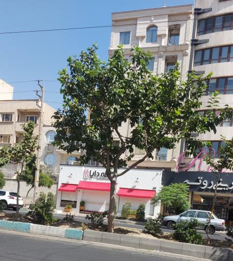 عکس کافه دایا