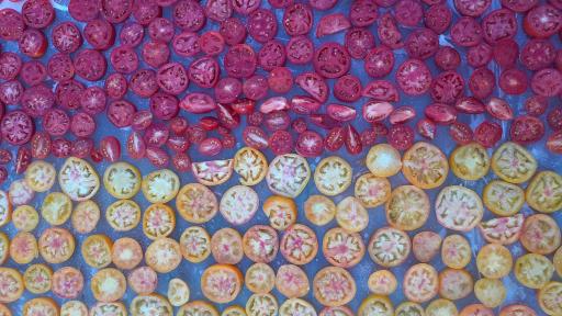 عکس لبنیات ایمانی