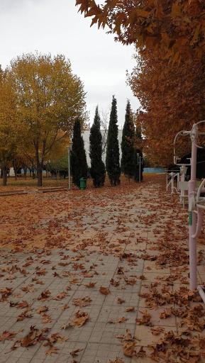 بوستان وصال شیرازی