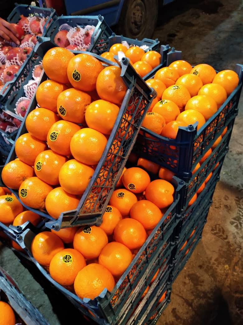 عکس سورتینگ مرکبات محمدپور 