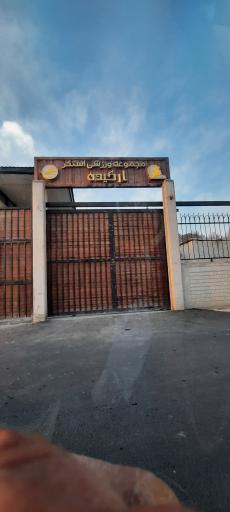 عکس مجموعه ورزشی ارکیده