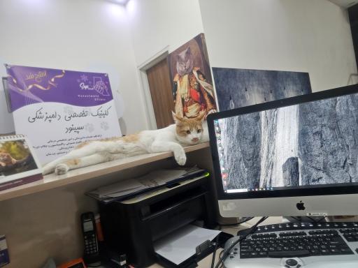 عکس کلینیک دامپزشکی سپینود