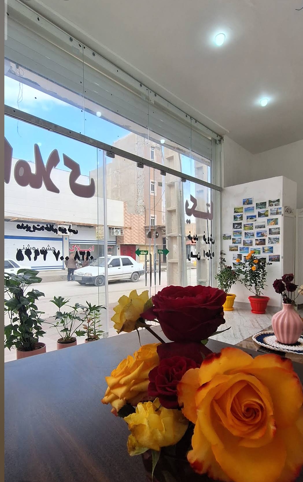 عکس املاکی یکتا