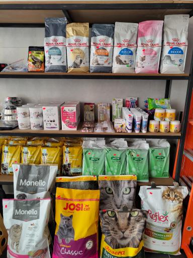 عکس پت شاپ بامبو 