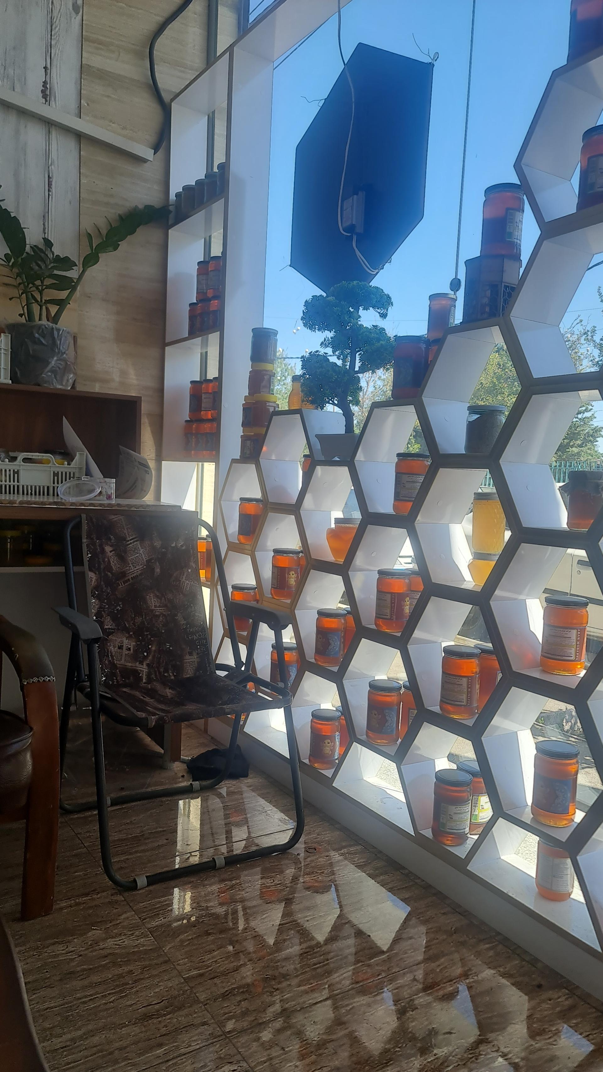 عکس عسل حبیبی