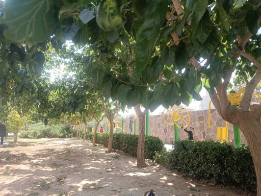 عکس بوستان وصال شیرازی