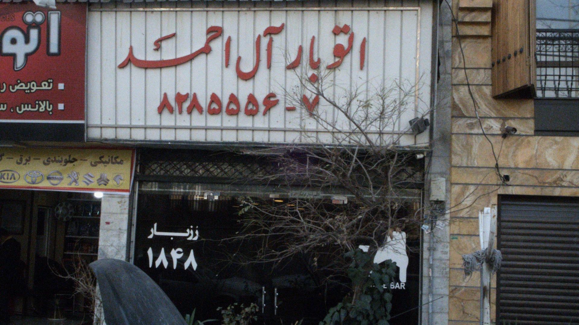 عکس باربری آل احمد