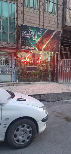 عکس گل ارکیده