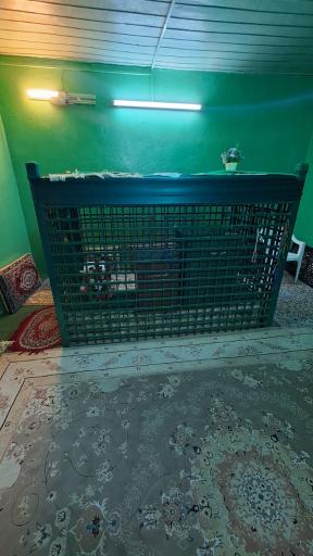 عکس امامزاده سید عبدالحی (سید محمد)