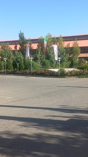 عکس کارخانه هنر چوب ژیک