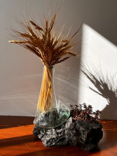 عکس بلور دکان