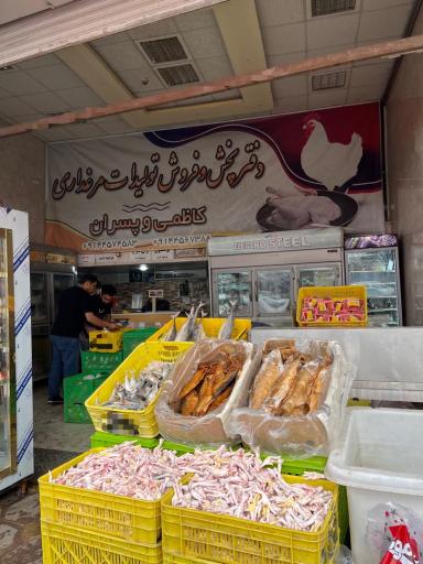 عکس پخش و فروش مرغ کاظمی و پسران