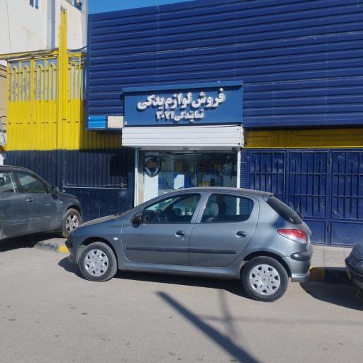 نمایندگی ایران خودرو 3071