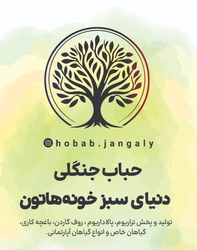 عکس گلخانه حباب جنگلی