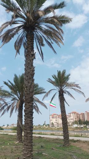 عکس مسجد فاطمه الزهرا (س) مرکز فرهنگی و موزه دفاع مقدس