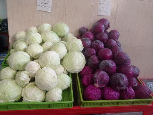 عکس تره بار کوهستان