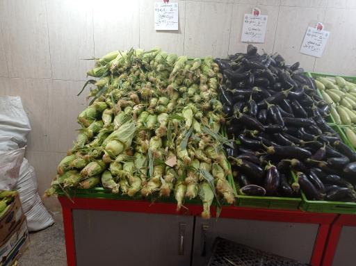 عکس تره بار کوهستان