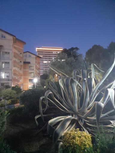 عکس مجتمع رفاهی گل نرگس