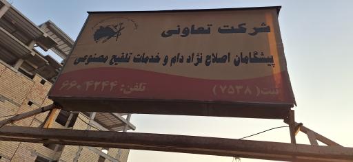 عکس شرکت تعاونی پیشگامان