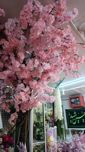 گلفروشی یارایی