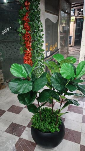 عکس گلفروشی یارایی