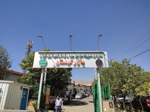 عکس تره بار کوهستان