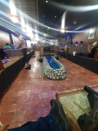 عکس چای سرای بلوط