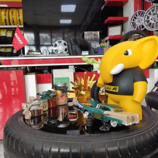 عکس رینگ و لاستیک نازی نژاد 