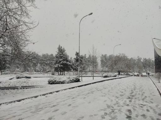 عکس دانشگاه گیلان