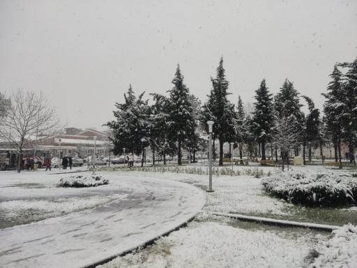 عکس دانشگاه گیلان