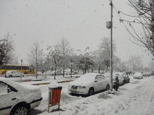 عکس دانشگاه گیلان