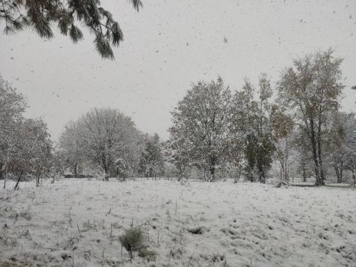 عکس دانشگاه گیلان