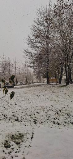 دانشگاه گیلان