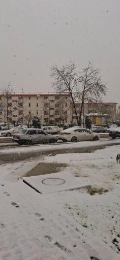 عکس دانشگاه گیلان