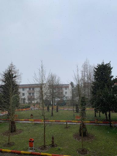 عکس دانشگاه گیلان