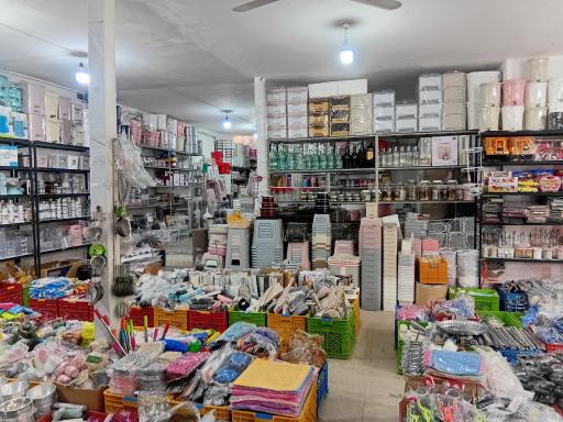 عکس جهان پلاسکو 