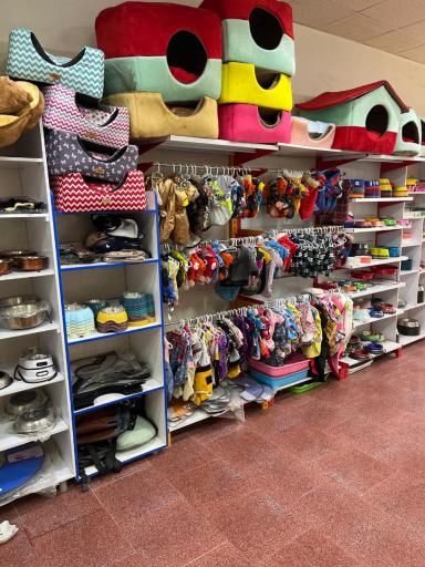 عکس کلینیک دامپزشکی آرا