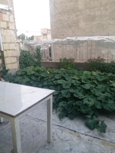 عکس سوئیت آپارتمان 