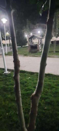 عکس پارک لاله