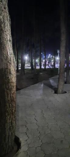 عکس پارک لاله