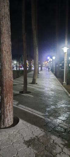 عکس پارک لاله