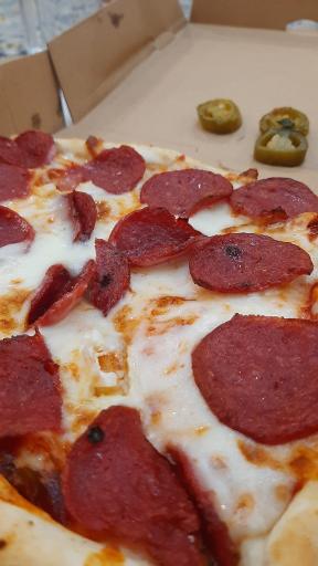 عکس تله پیتزا