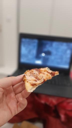 عکس تله پیتزا