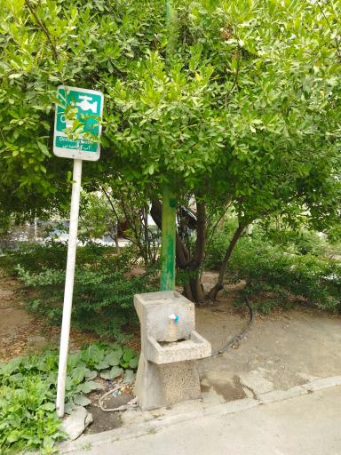 عکس بوستان شقایق