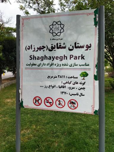 عکس بوستان شقایق