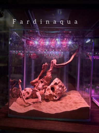 عکس آکواریوم فردین