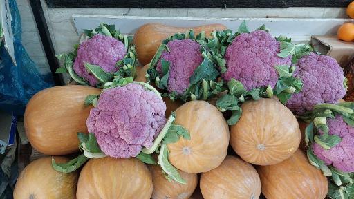 عکس میوه فروشی