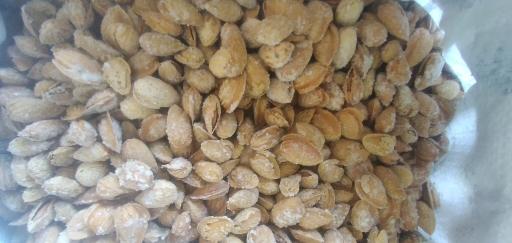 عکس بازرگانی برادران کافی