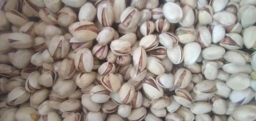 عکس بازرگانی برادران کافی