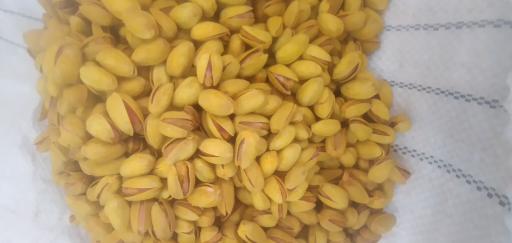 عکس بازرگانی برادران کافی